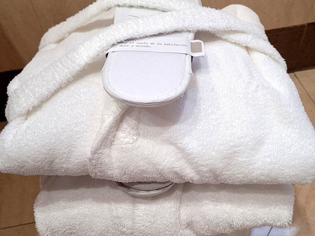 Hotel Santiago主图