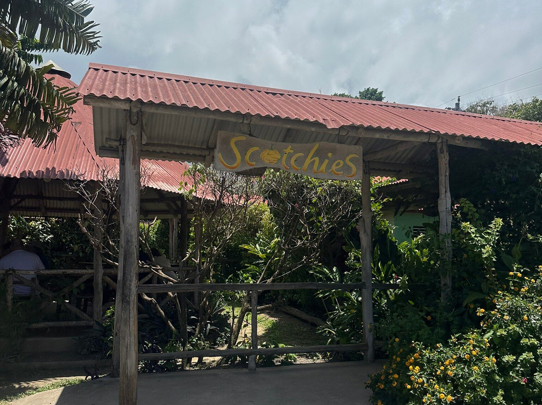 Yardie Tours-奥乔里奥斯必去景点