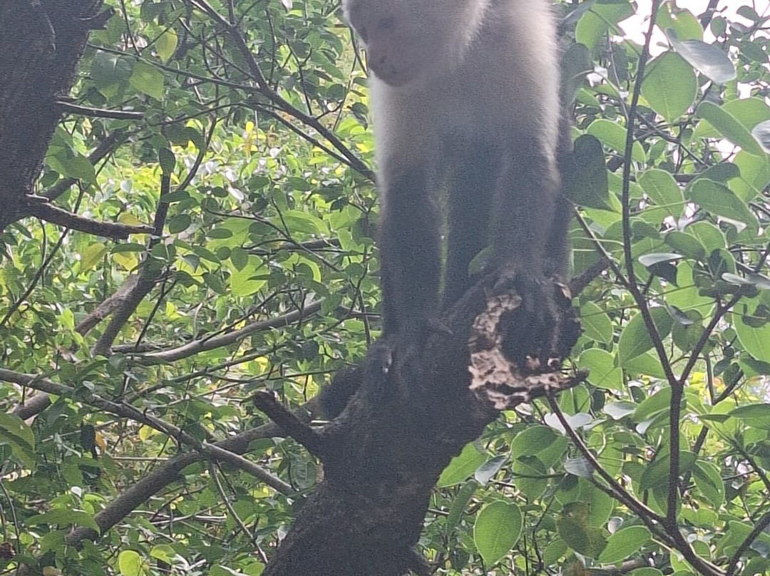 Water And Land Activities-Playa Panama必去景点