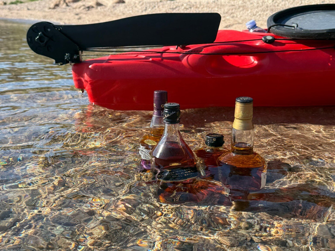Go Sea Kayak-奥尔比亚必去景点
