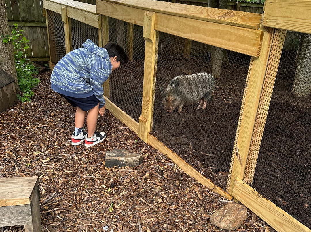 The Schiele Museum of Natural History-加斯托尼亚必去景点
