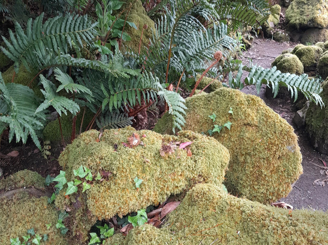 Enys Gardens-Penryn必去景点