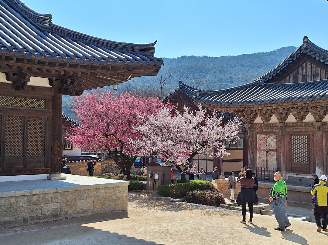 Tongdosa Temple-梁山市必去景点