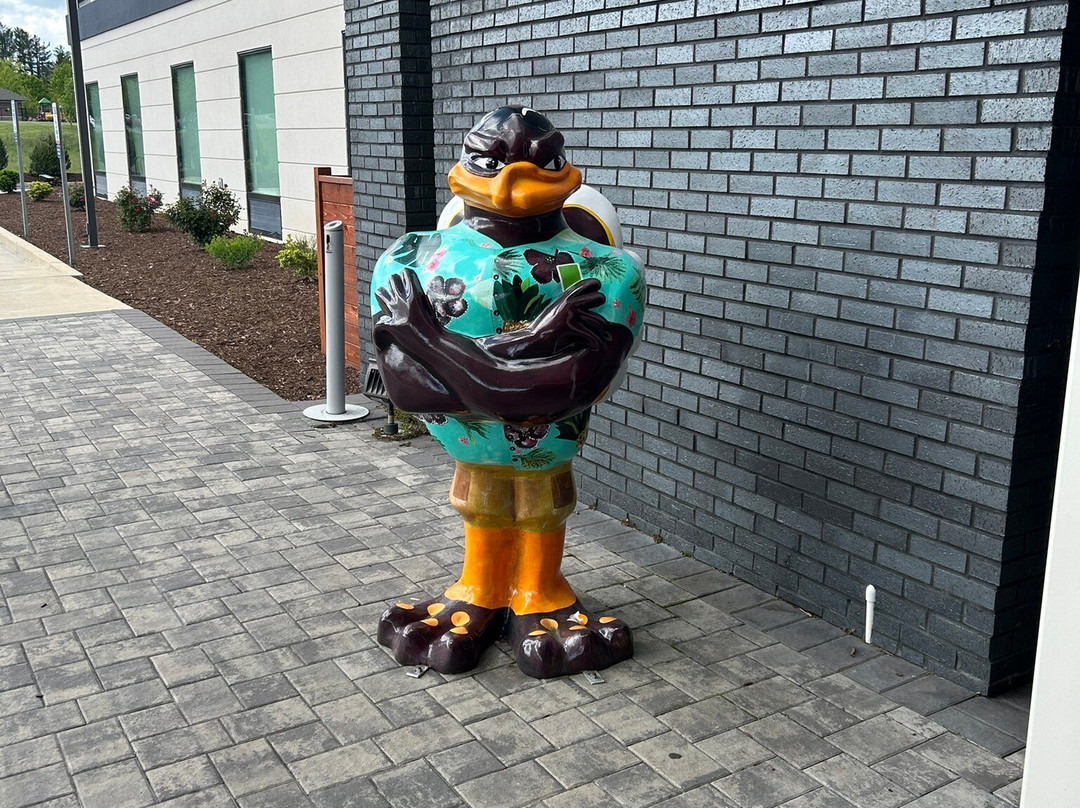 Home2 Suites by Hilton Blacksburg主图