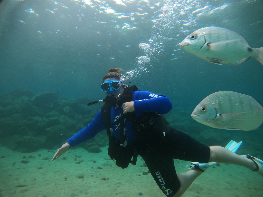 Native Diving Lanzarote-科斯塔特吉塞必去景点