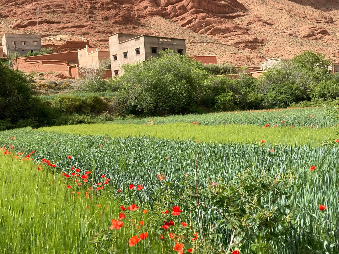 Zafrani-Taliouine必去景点