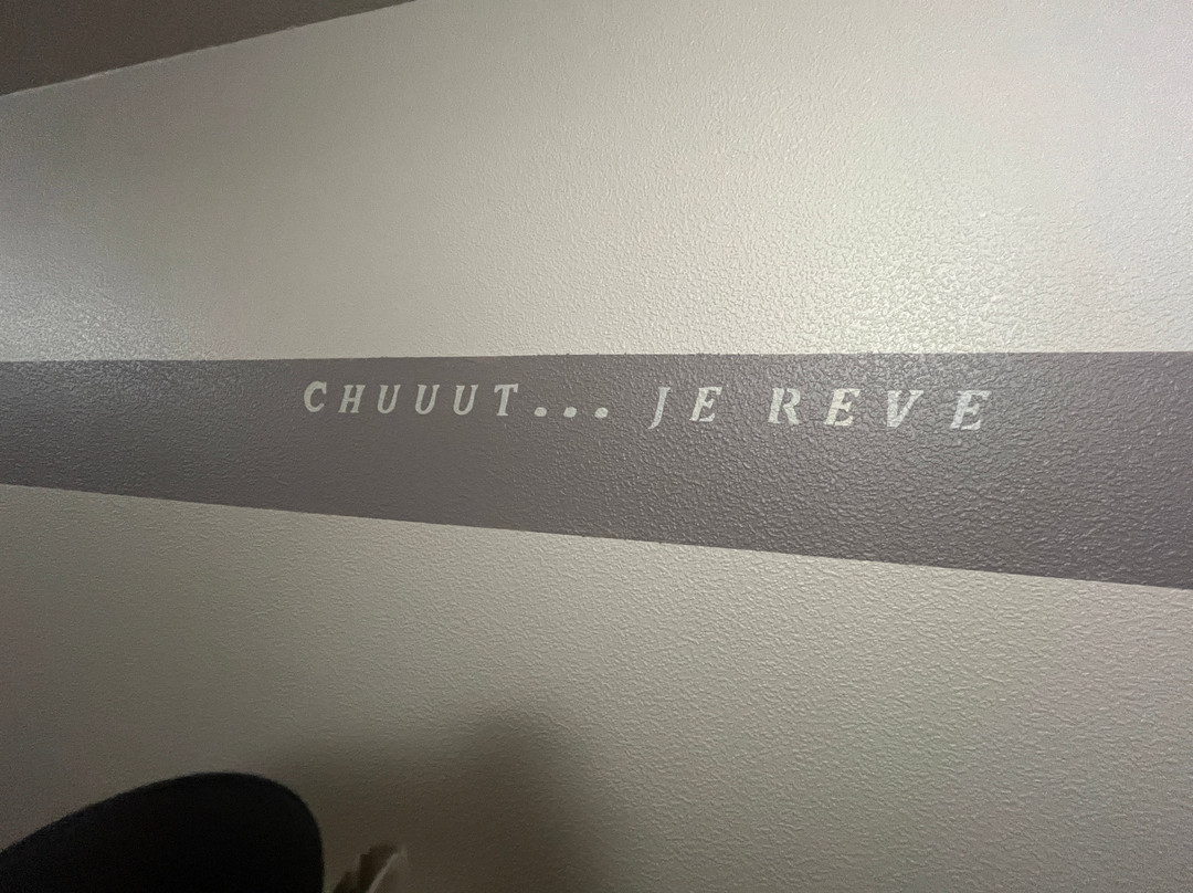 Hotel Les Voyageurs主图