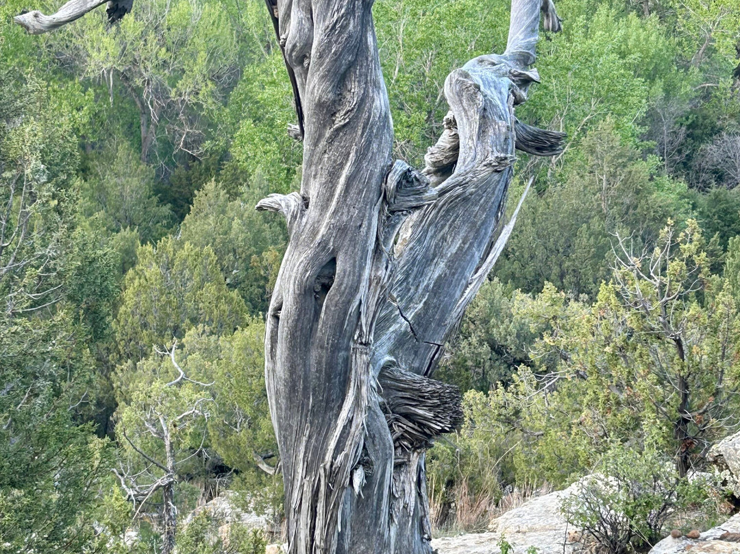 Clayton Lake State Park-Clayton必去景点