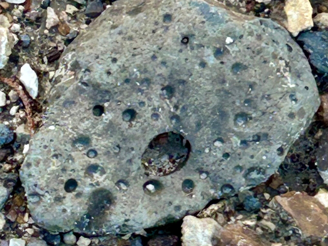 Clayton Lake State Park-Clayton必去景点