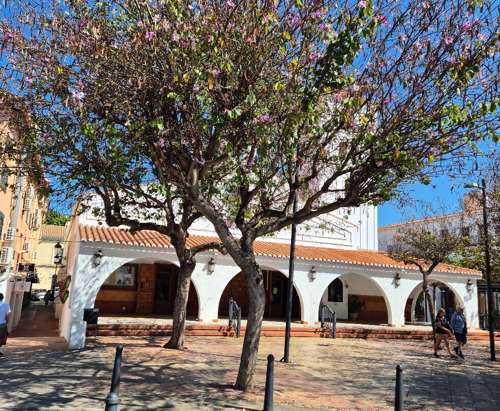 Iglesia de La Inmaculada Concepcion景点图片