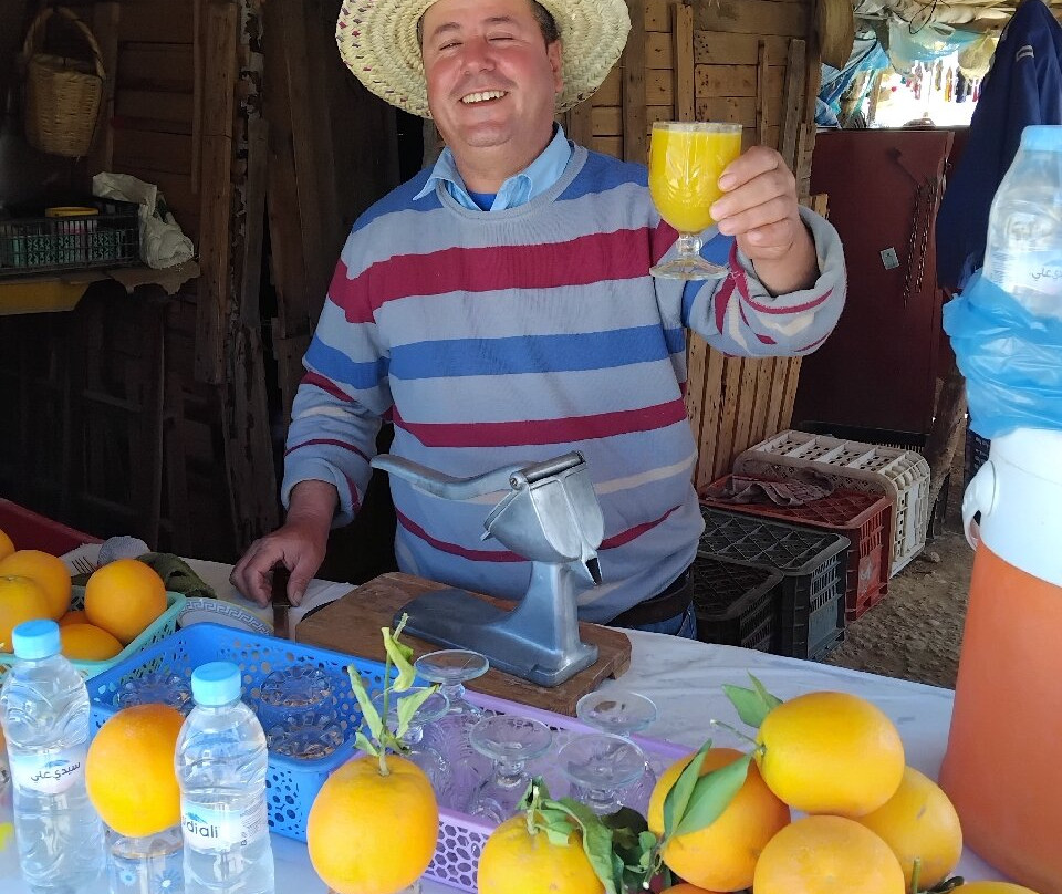 Barrage Sidi Chahed-梅克内斯必去景点