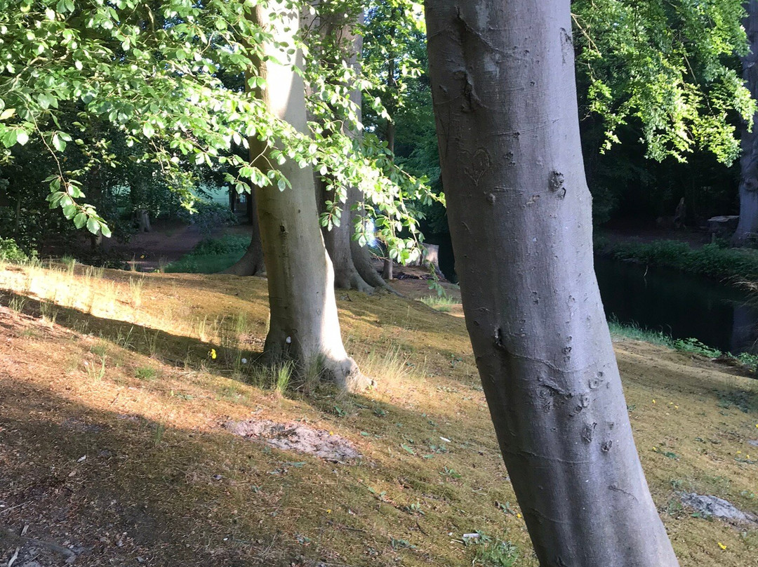 Elswout wandel-park van Staatsbosbeheer景点图片