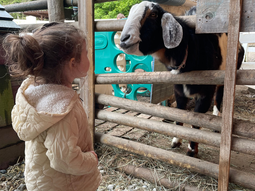 Farm Ventures-Roberts Creek必去景点
