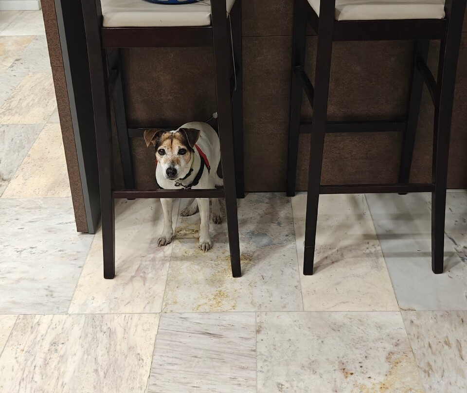 Pressphoto Club - Wine Bar And Gallery-索非亚必去景点