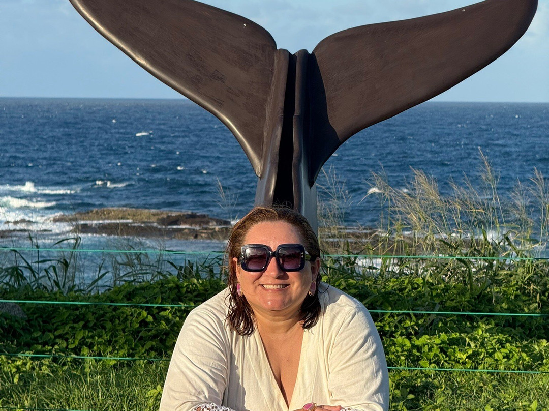 Shark Museum-费尔南多-迪诺罗尼亚群岛必去景点