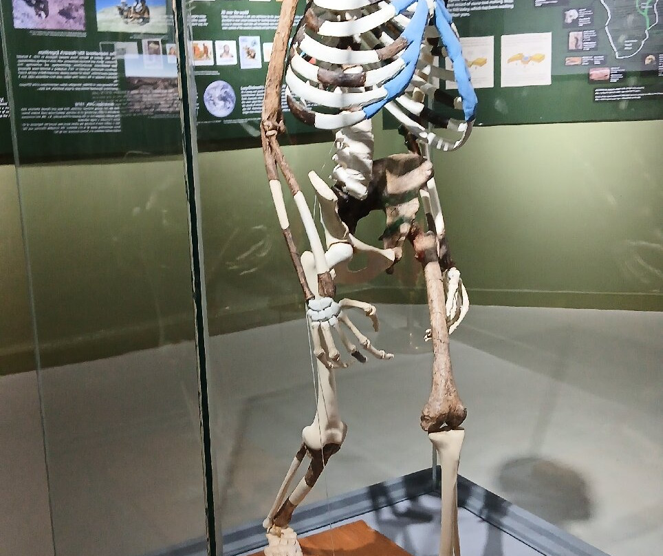 National Museum of Ethiopia景点图片