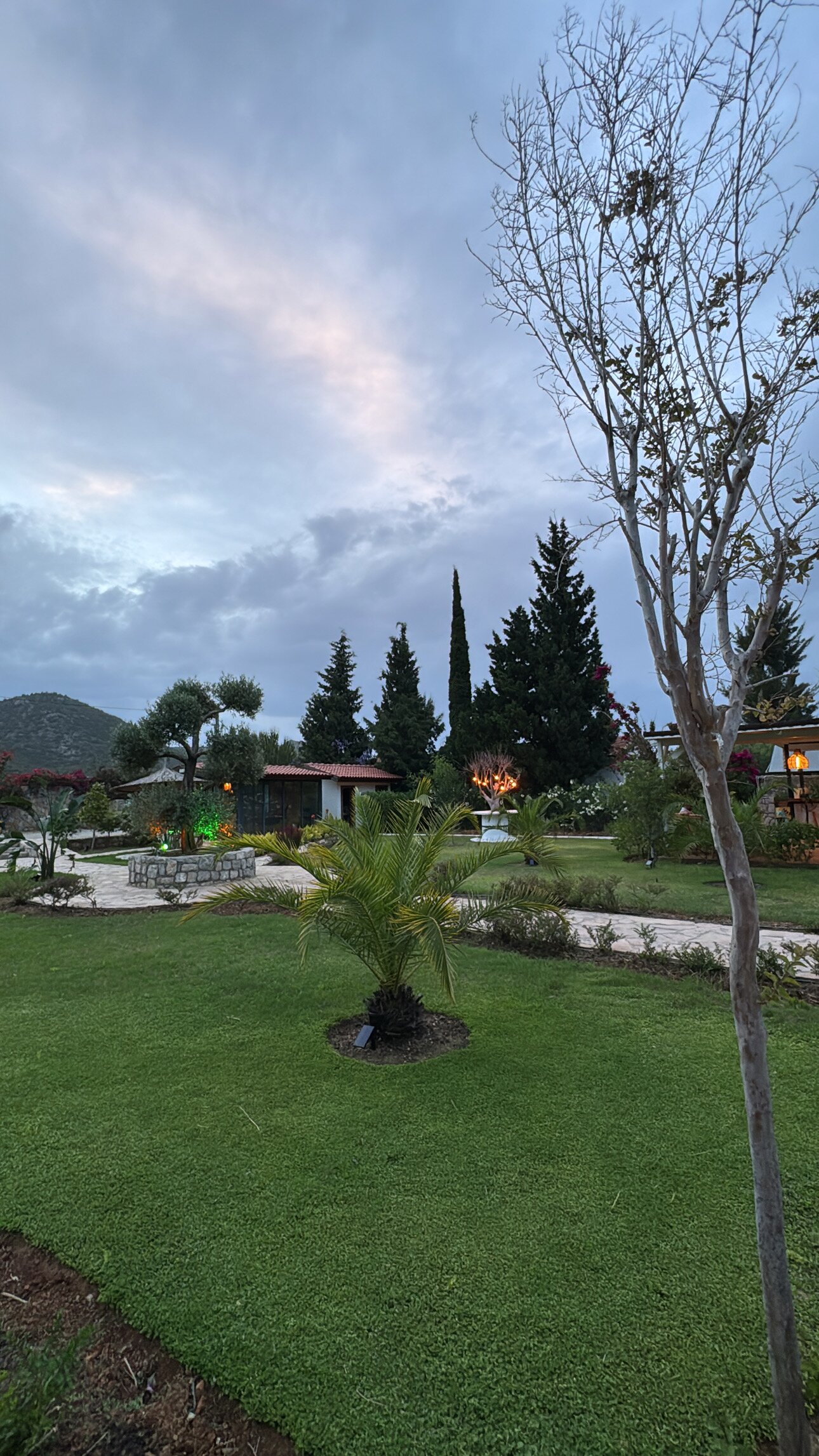Boho Garden Selimiye-官方