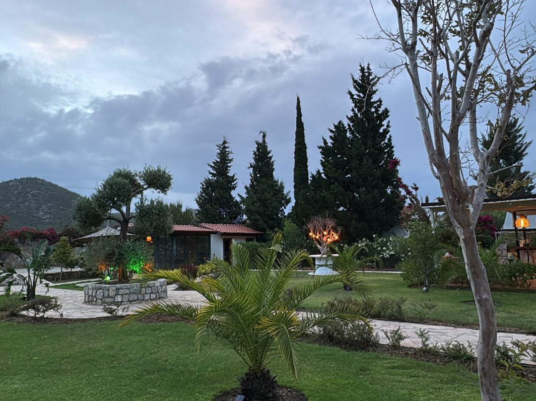 Boho Garden Selimiye主图