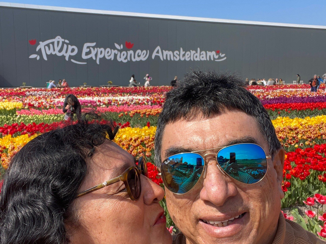 Tulip Experience Amsterdam景点图片