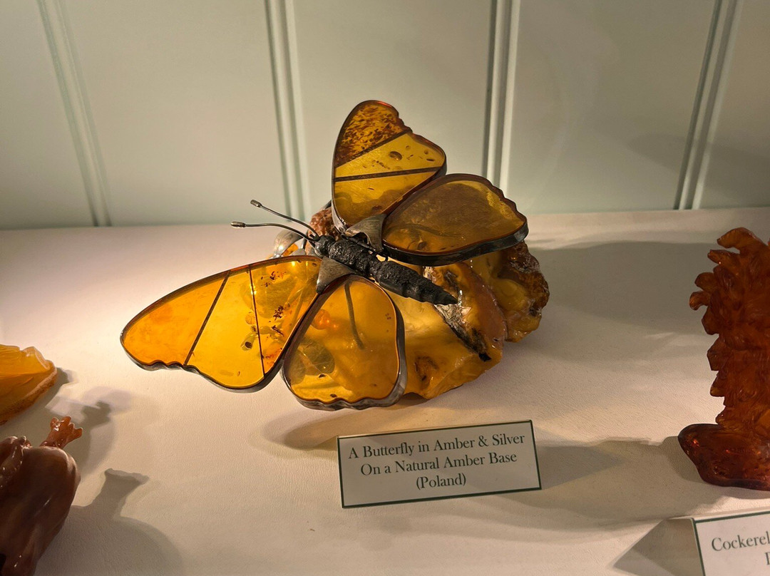 The Amber Shop & Museum-Southwold必去景点