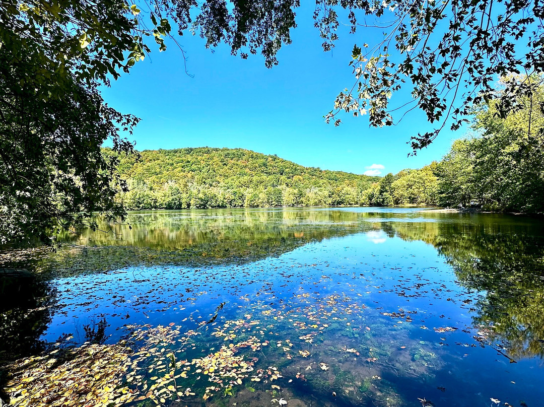 Ramapo Valley County Reservation景点图片