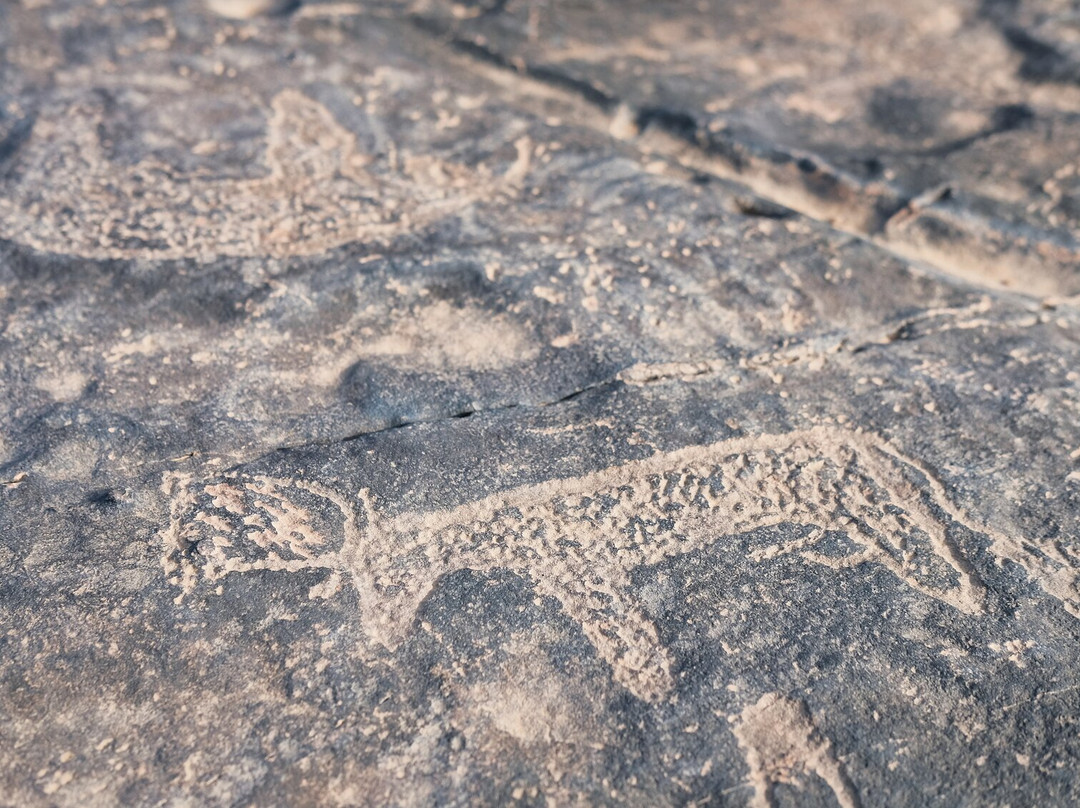 Sahara ATV Quad Adventures-梅如卡必去景点