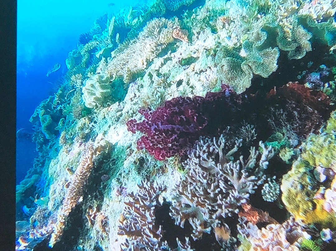 Friwen旅游攻略图片