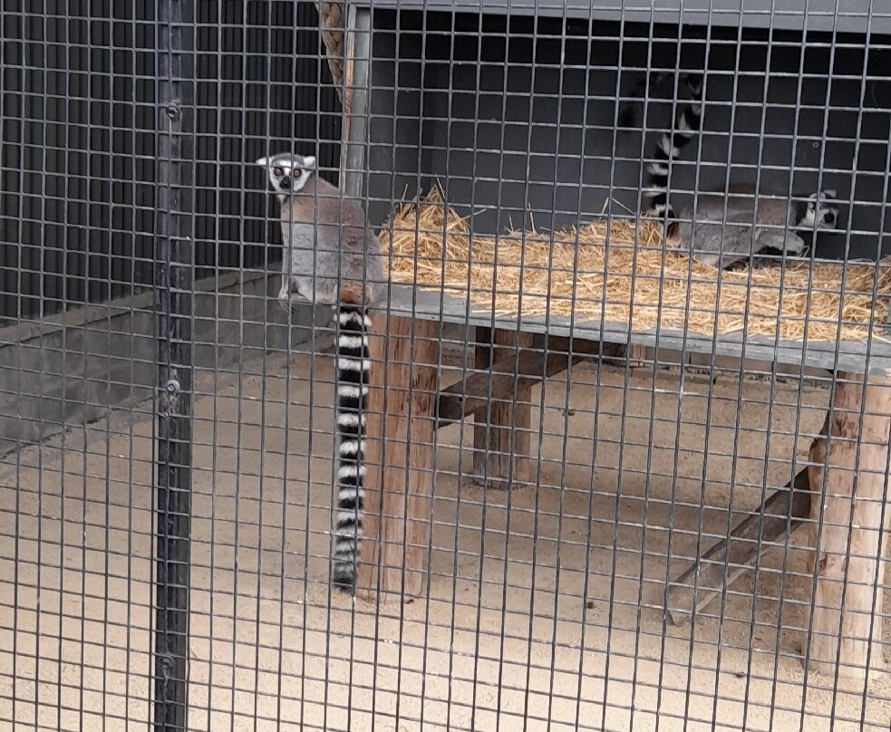 Hunter Valley Wildlife Park-Nulkaba必去景点