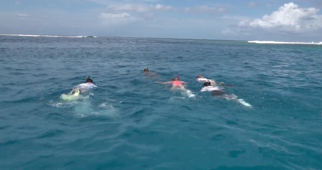 Moorea Ocean Adventures-莫雷阿岛必去景点