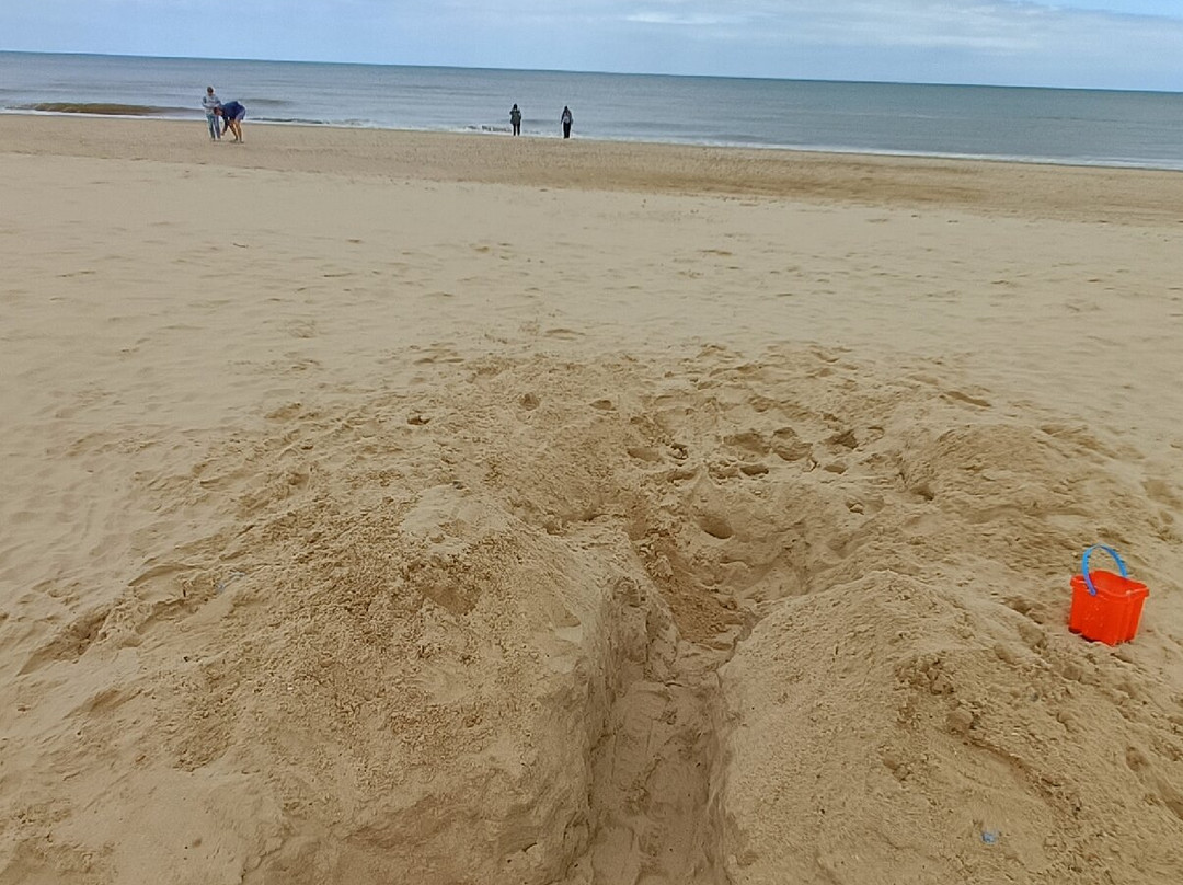 Hemsby Beach景点图片