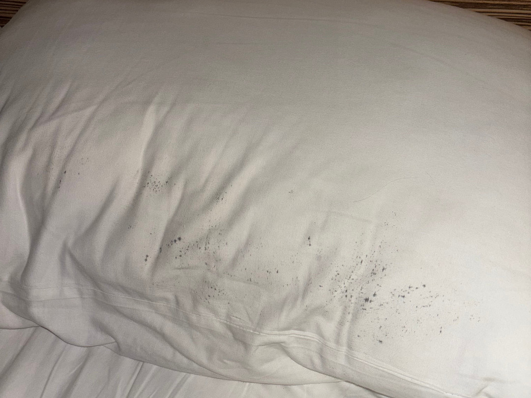 Travelodge Llanelli Cross Hands主图