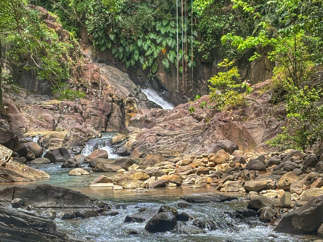 Cascade Le Saut de L'Acomat-Pointe-Noire必去景点
