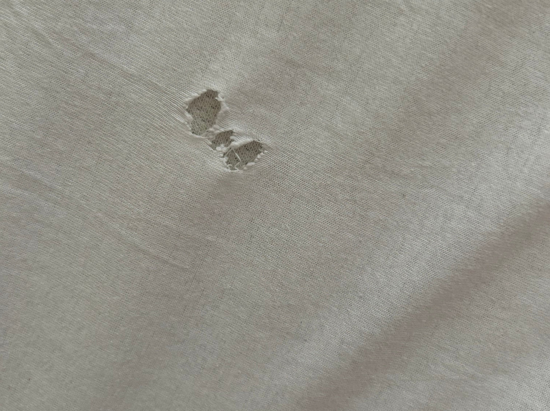 Adler Am Schloss Hotel主图