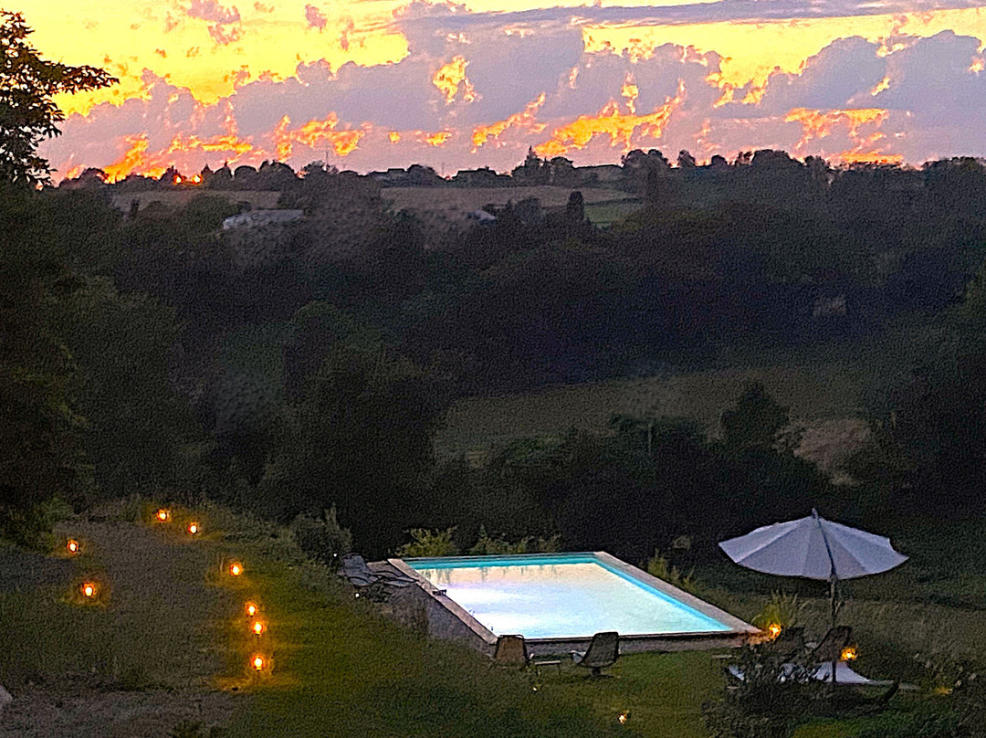 Domaine De Léjos - Portes d'Albi主图