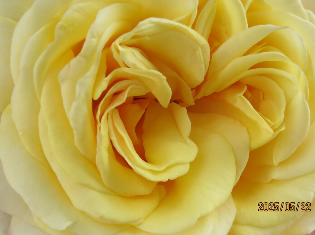 Biwako Otsukan-大津市必去景点