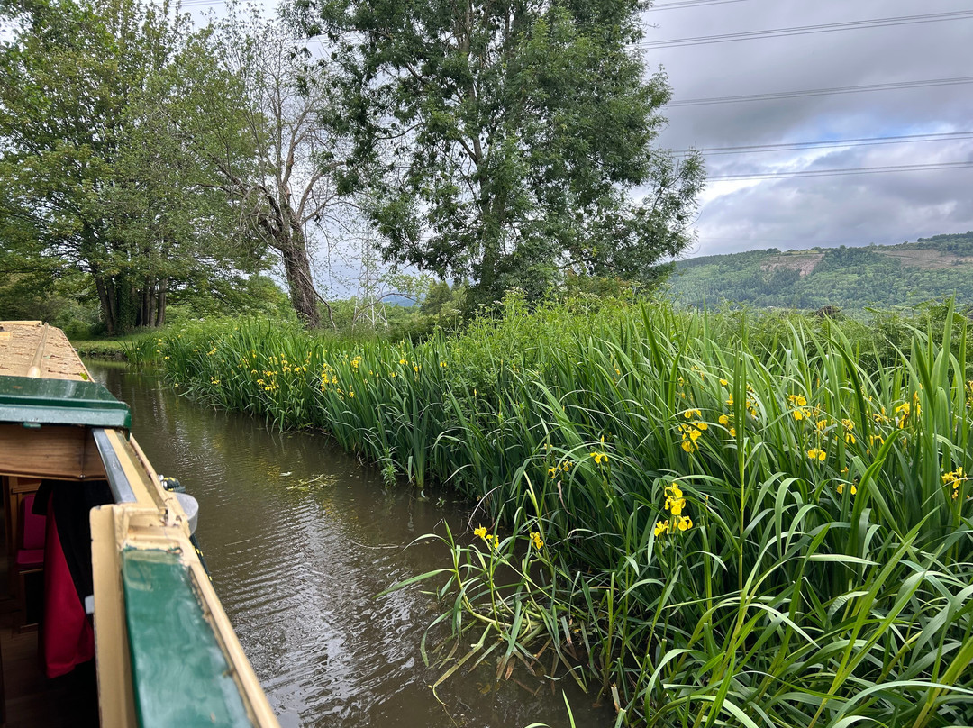 Beacon Park Boats景点图片