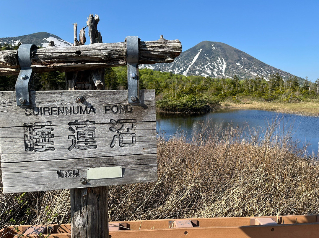 Suiren Pond-十和田市必去景点