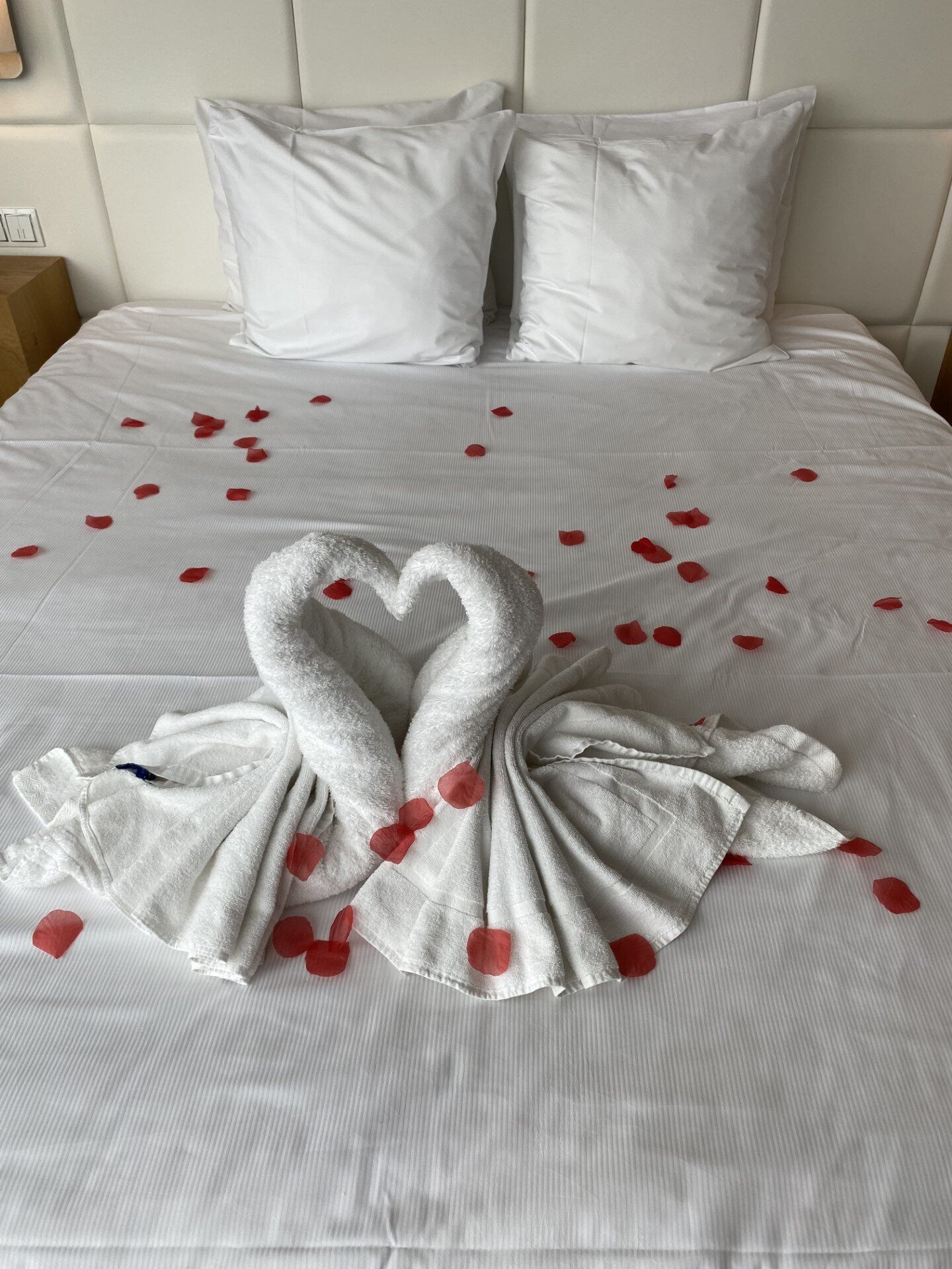 Van Der Valk Hotel Tiel-客卧
