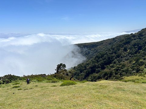 Taxi-Madeira Miguel Pereira-沙尔必去景点