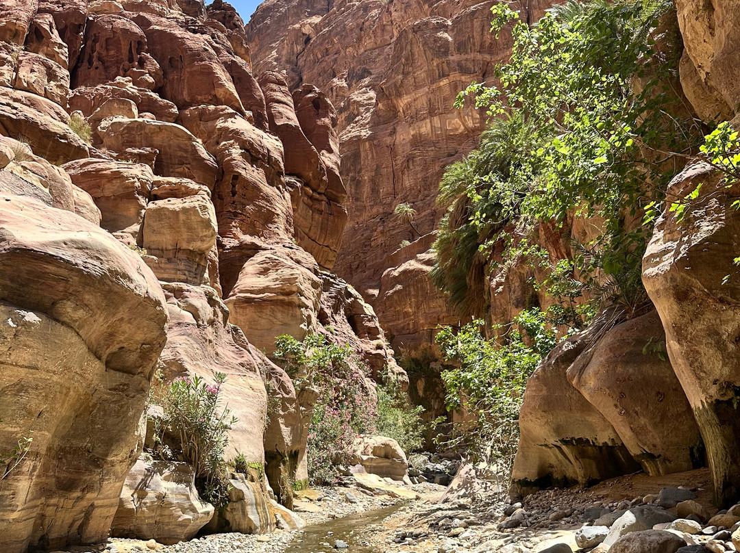 Jordan Hiking Guide-Dana必去景点
