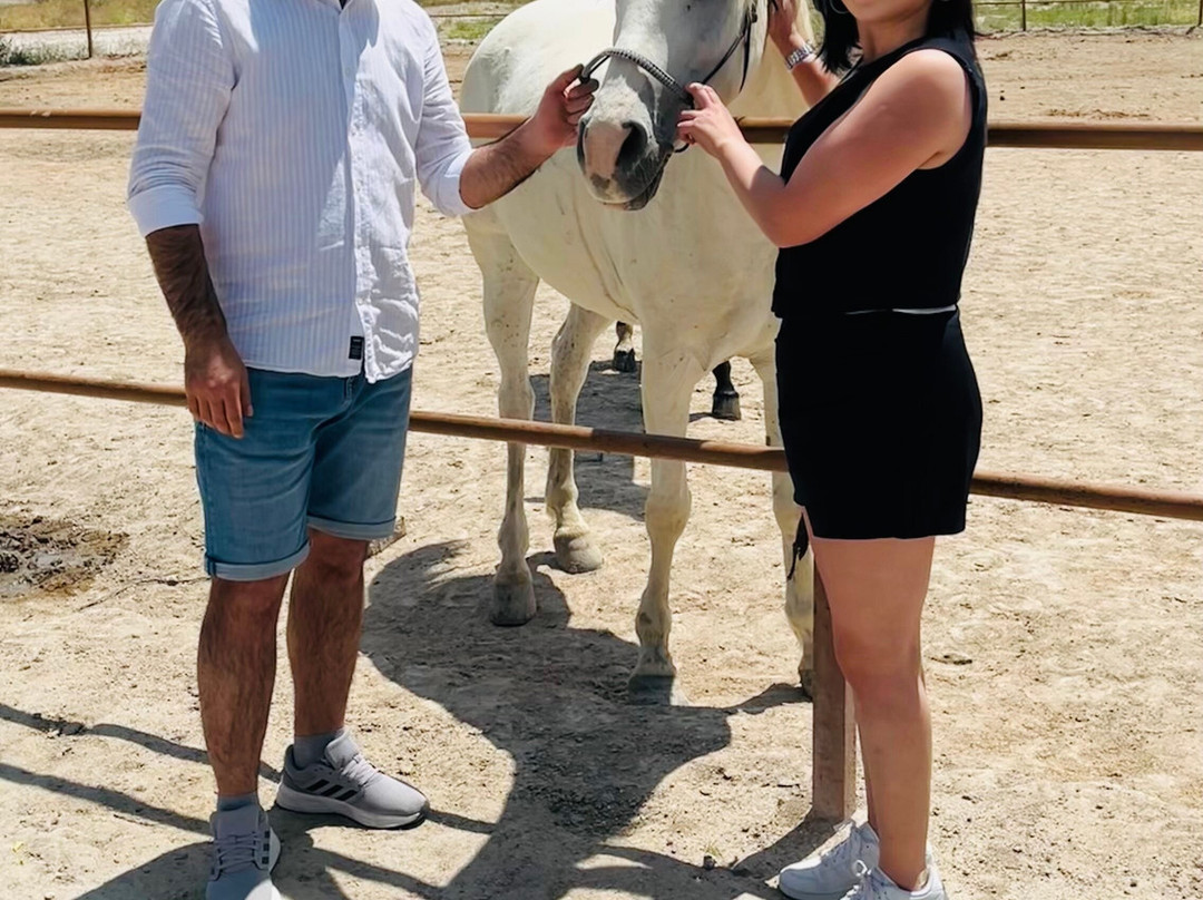 Cappadocia Horse Ranch-内夫谢希尔必去景点