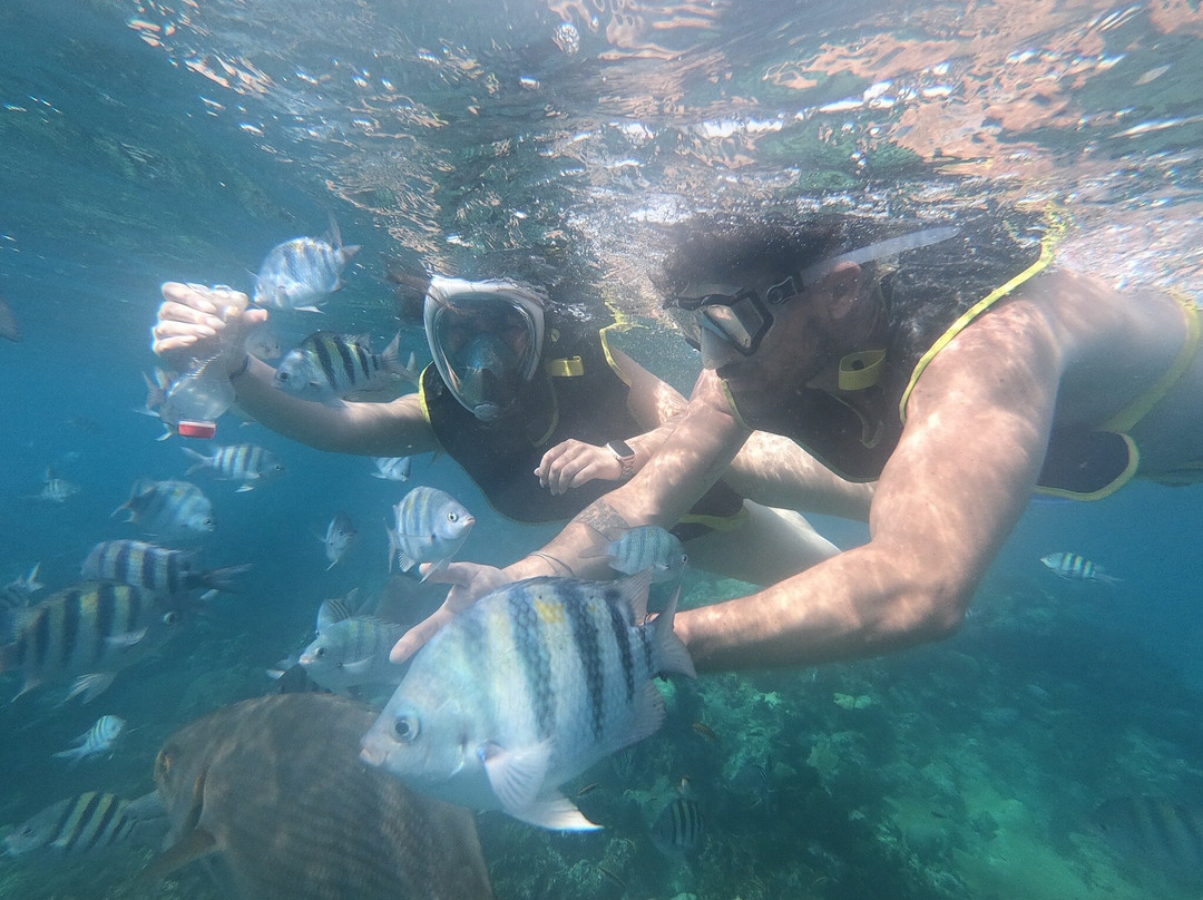 Snorkeling Tour Varadero景点图片