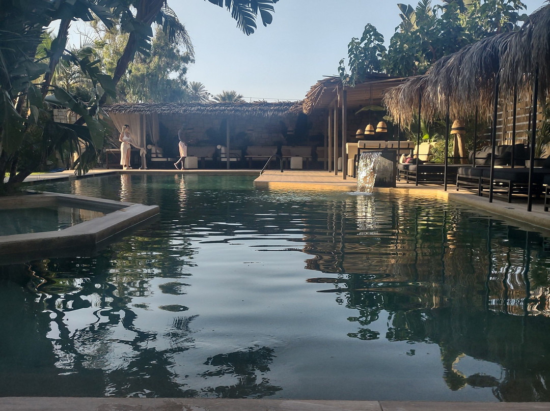 Alsus Boutique Hotel主图