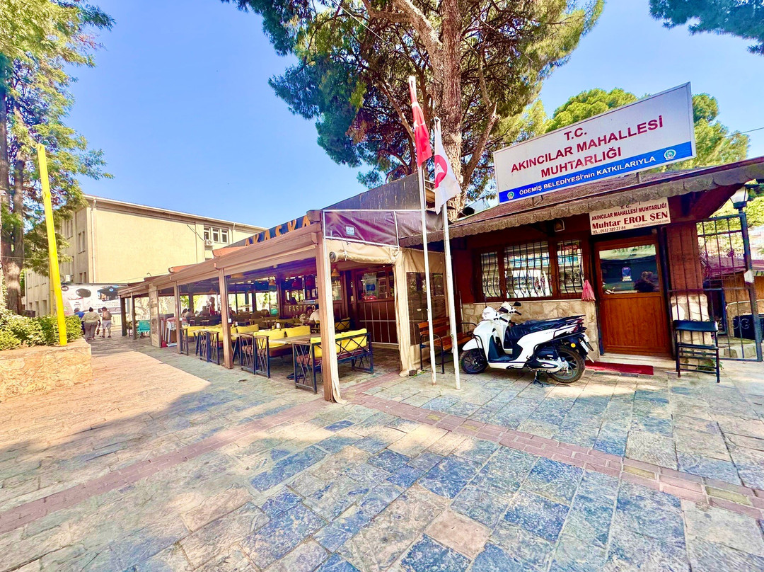 Ödemiş Tayyare Park