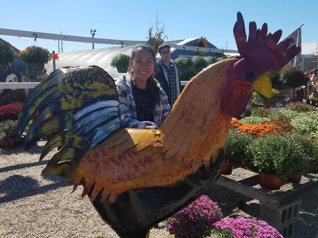 Lewin Farms-Calverton必去景点