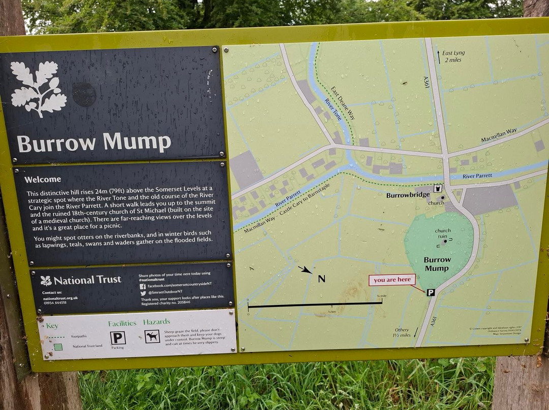Burrow Mump-布里奇沃特必去景点