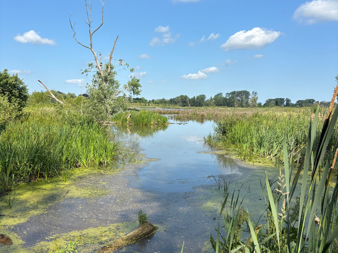 Marcel de Gand主图