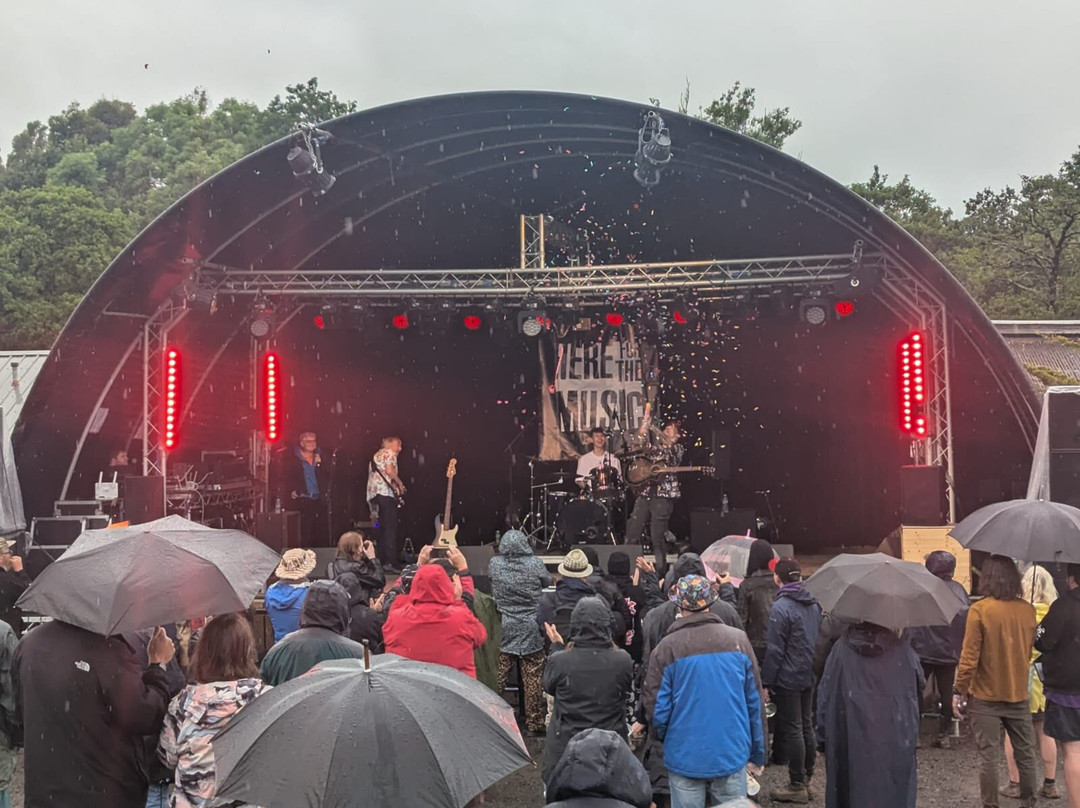 Here For The Music Festival-比迪福德必去景点