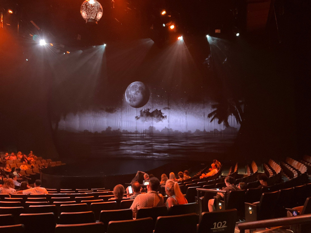 Cirque du Soleil 'Auana-火奴鲁鲁必去景点