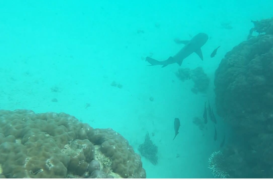 Ningaloo Discovery-埃克斯茅斯必去景点